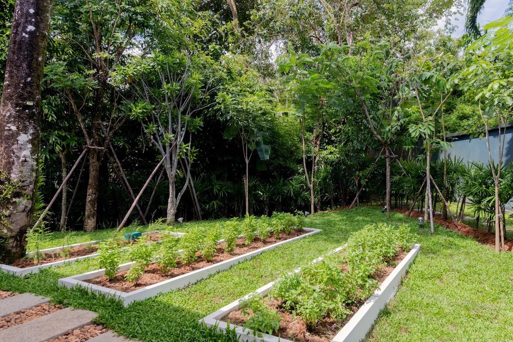 Trisra Signature Villa Phuket Garden