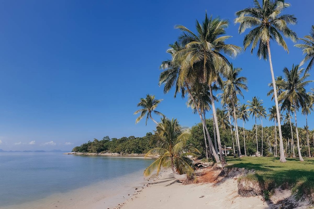 Koh Samui Beachfront Land For Sale In Thong Krut