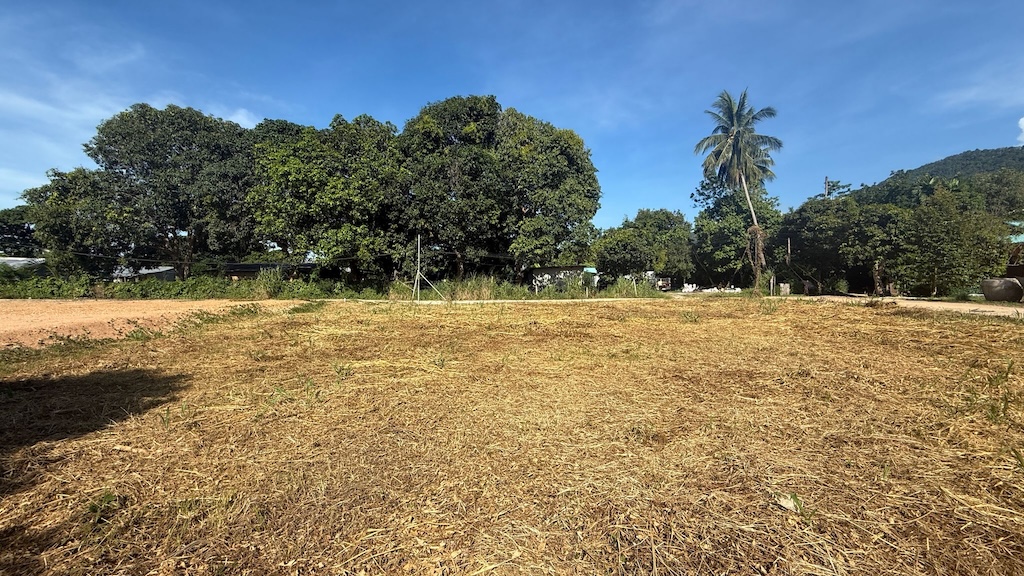 Koh Samui Land Bang Po