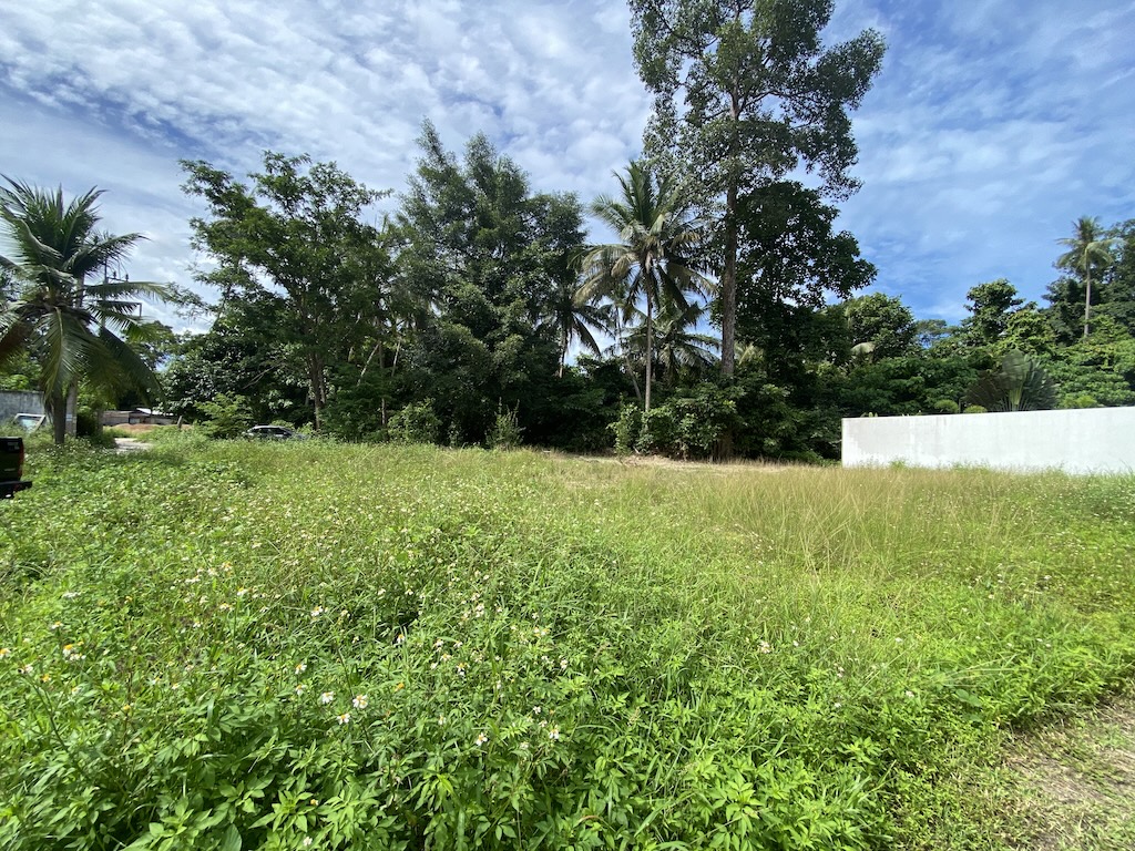Koh Samui Land For Sale In Maenam