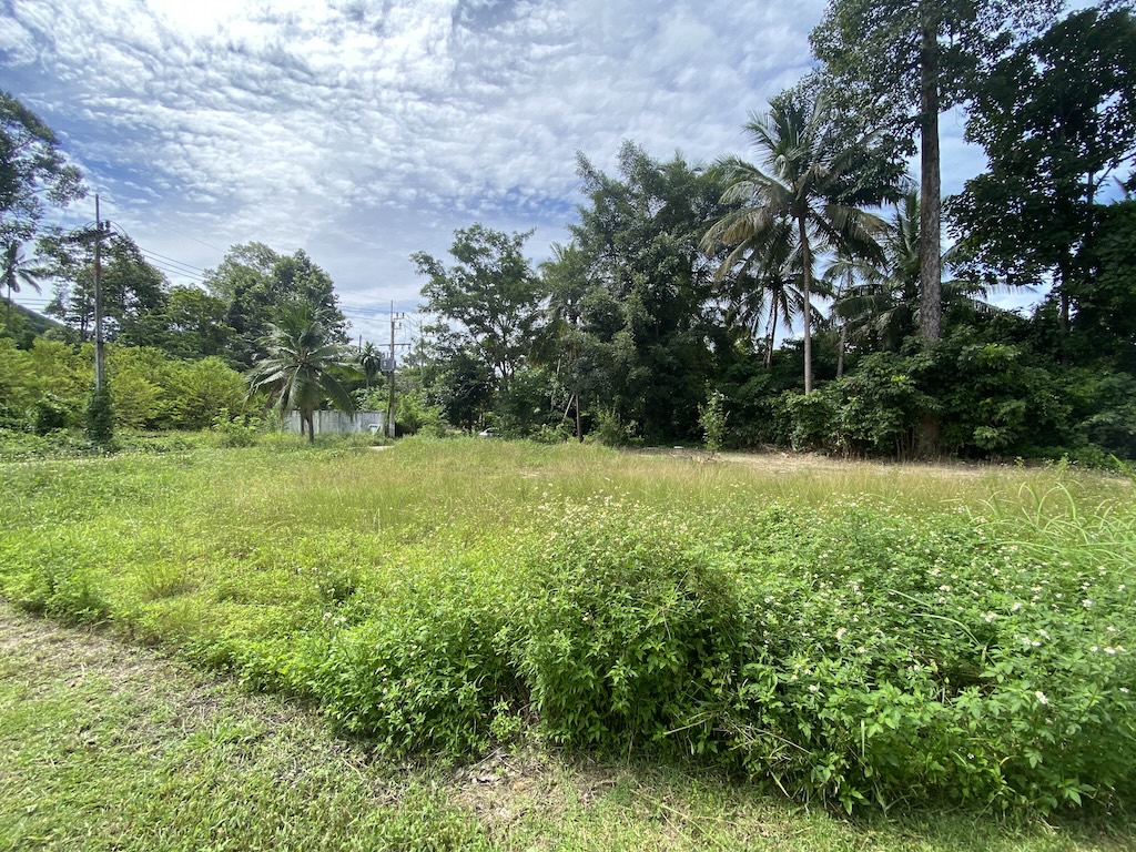 Koh Samui Land For Sale In Maenam