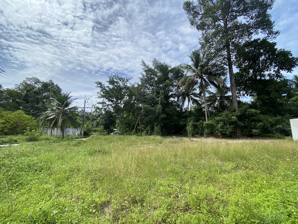 Koh Samui Land For Sale In Maenam