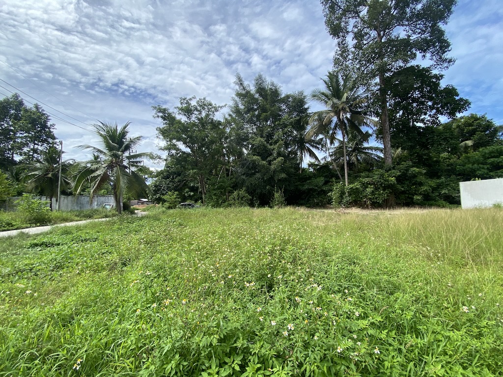 Koh Samui Land For Sale In Maenam