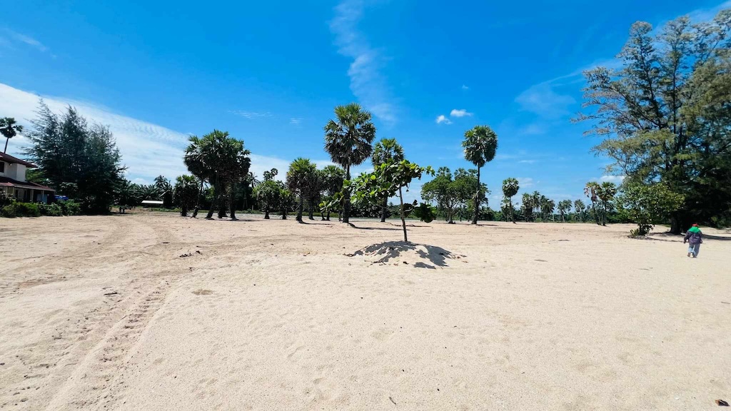 Surat Thani Beachfront Land For Sale