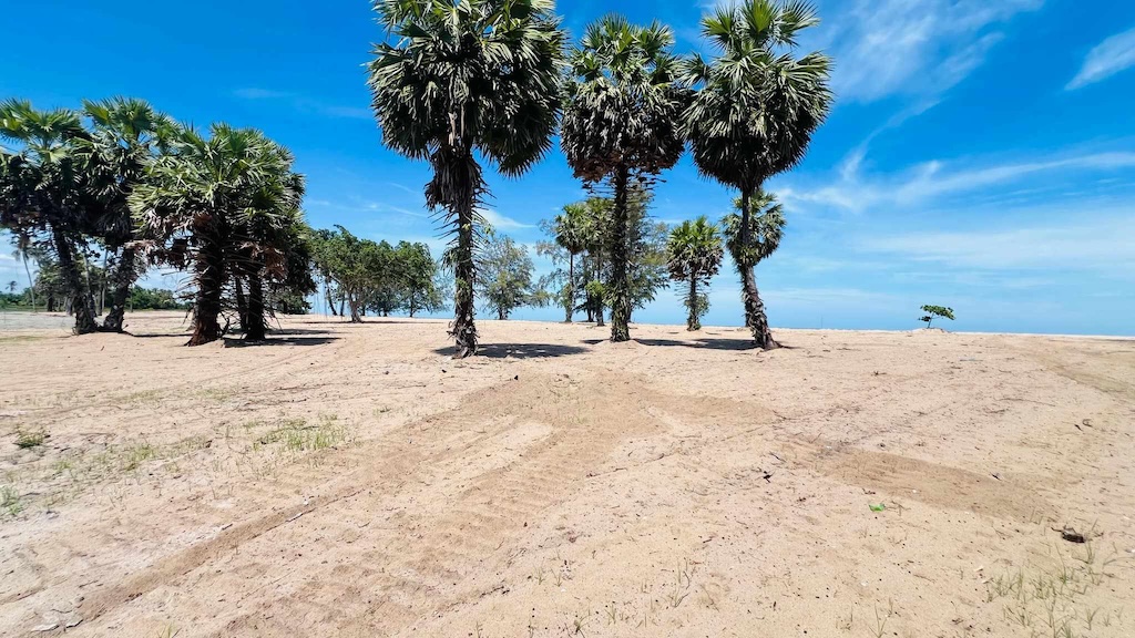 Surat Thani Beachfront Land For SAle