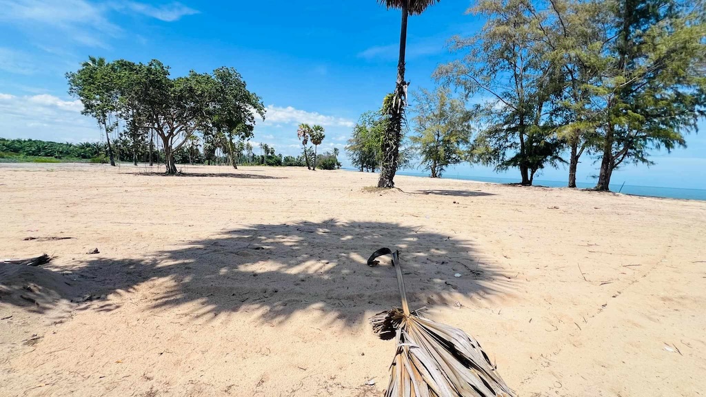 Surat Thani Beachfront Land For Sale