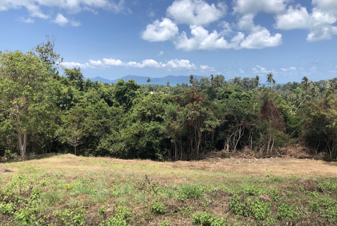 1.5 Rai Sea View Land For Sale Ko Samui – Land in Koh Samui (photo 4)