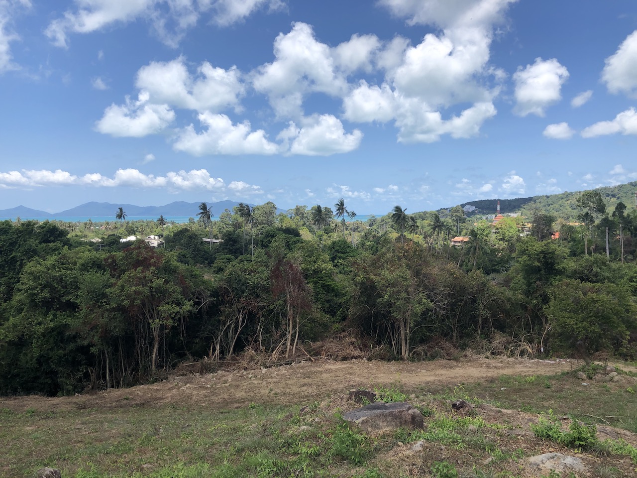 1.5 Rai Sea View Land For Sale Ko Samui – image 1 1.5 Rai Sea View Land For Sale Ko Samui – Land in Koh Samui (photo 1)