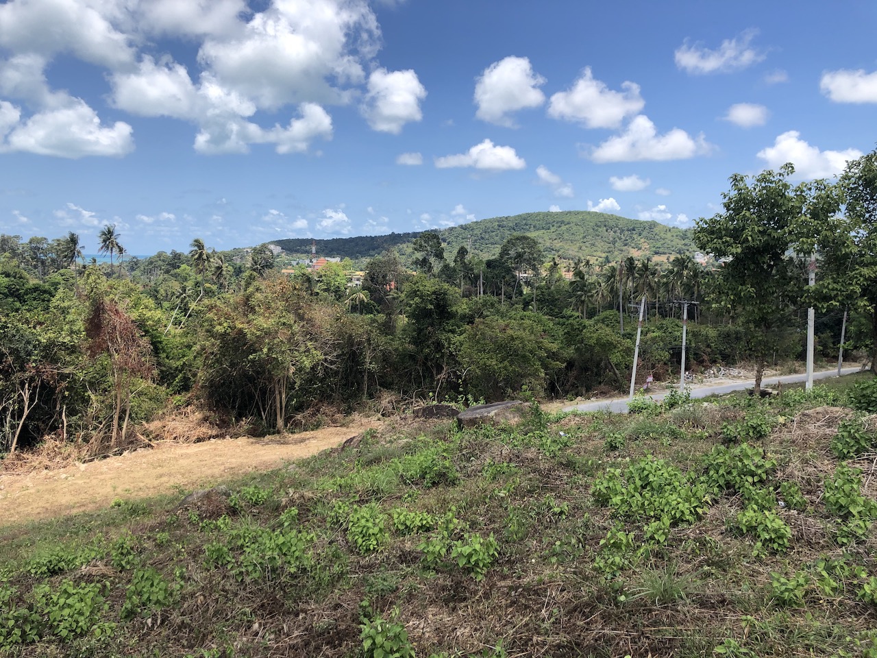 1.5 Rai Sea View Land For Sale Ko Samui – image 2 1.5 Rai Sea View Land For Sale Ko Samui – Land in Koh Samui (photo 2)