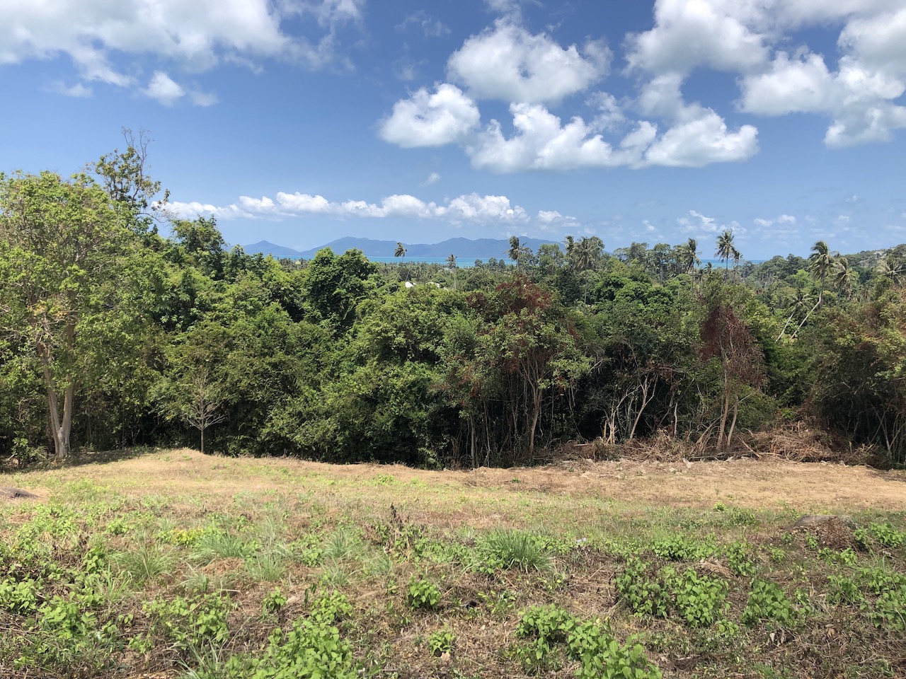 1.5 Rai Sea View Land For Sale Ko Samui – image 4 1.5 Rai Sea View Land For Sale Ko Samui – Land in Koh Samui (photo 4)