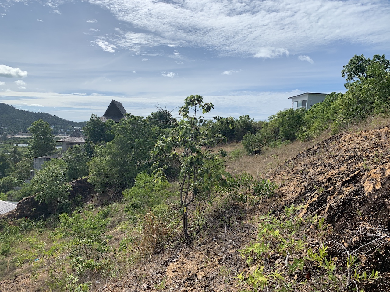 1.5 Rai Sea View Land For Sale Koh Samui – image 1 1.5 Rai Sea View Land For Sale Koh Samui – Land in Koh Samui (photo 1)
