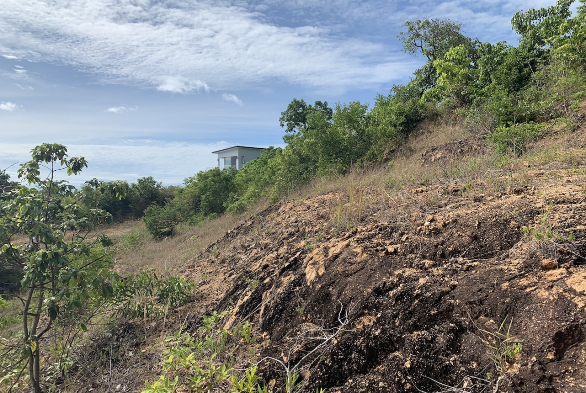 1.5 Rai Sea View Land For Sale Koh Samui – Land in Koh Samui (photo 2)