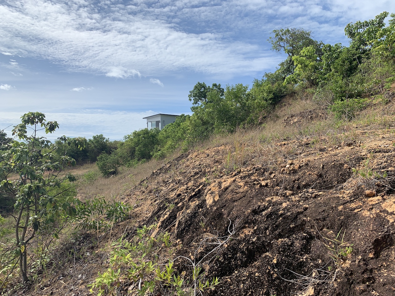 1.5 Rai Sea View Land For Sale Koh Samui – image 2 1.5 Rai Sea View Land For Sale Koh Samui – Land in Koh Samui (photo 2)
