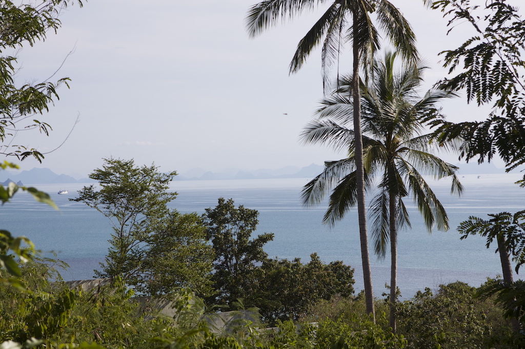 10 Rai Sea View Land For Sale