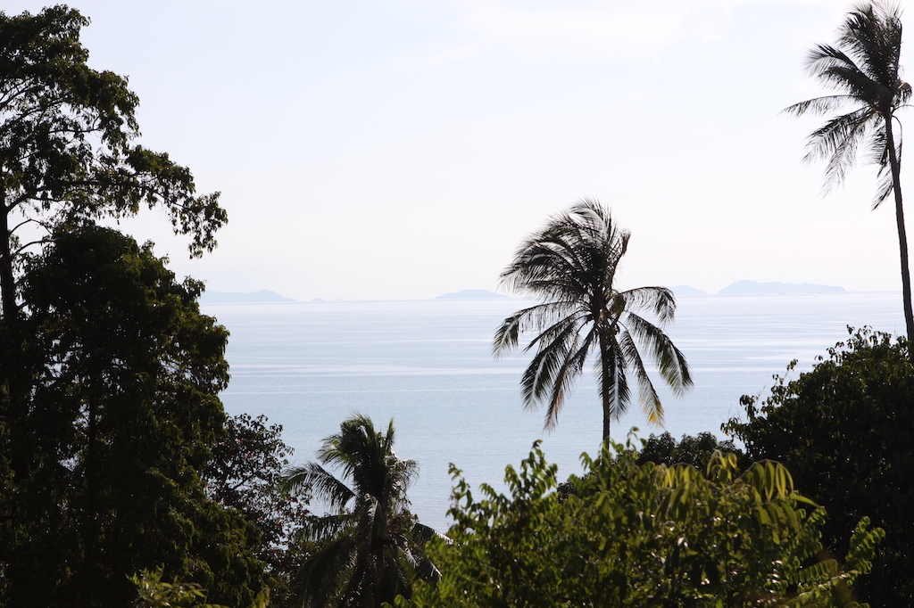 10 Rai Sea View Land For Sale