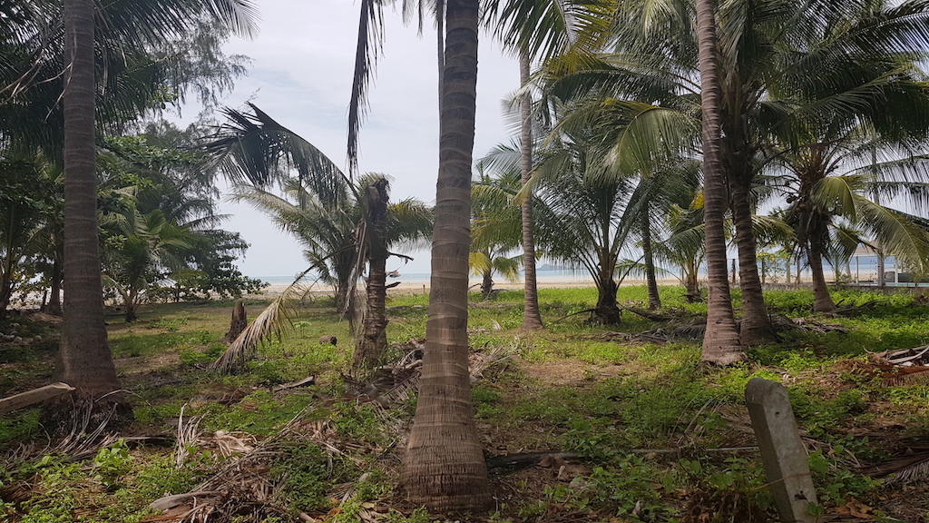 Baan Kao Beach Land Flat Land