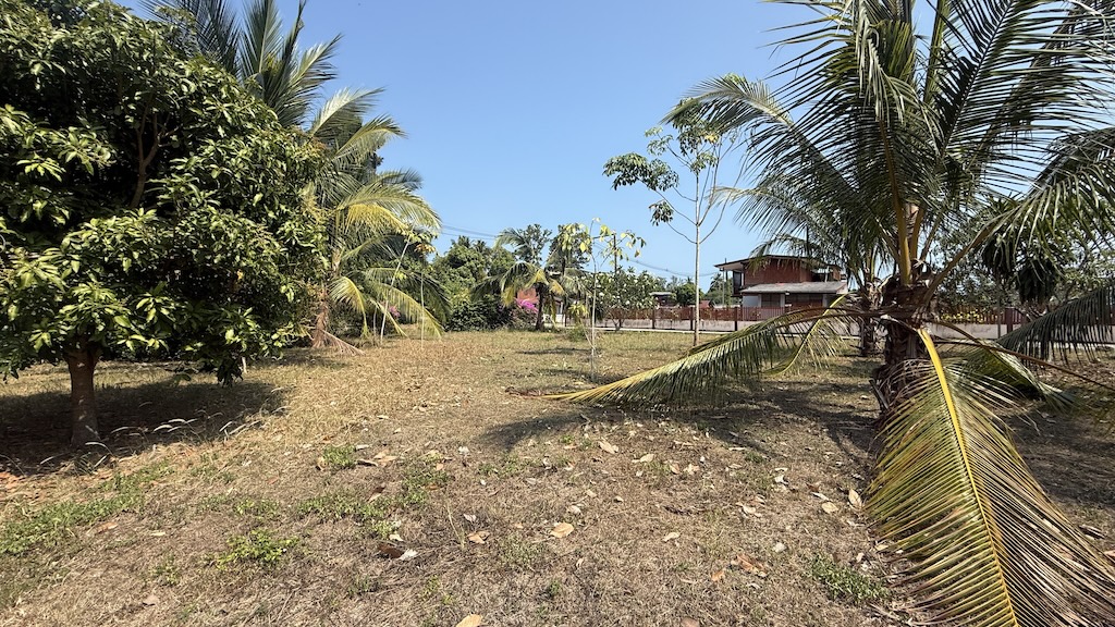 Baan Kao Land Plot For Sale In Koh Samui