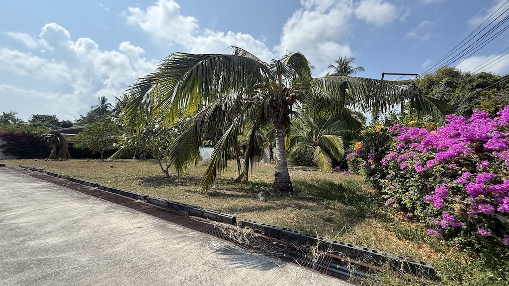 Baan Kao Land Plot For Sale In Koh Samui