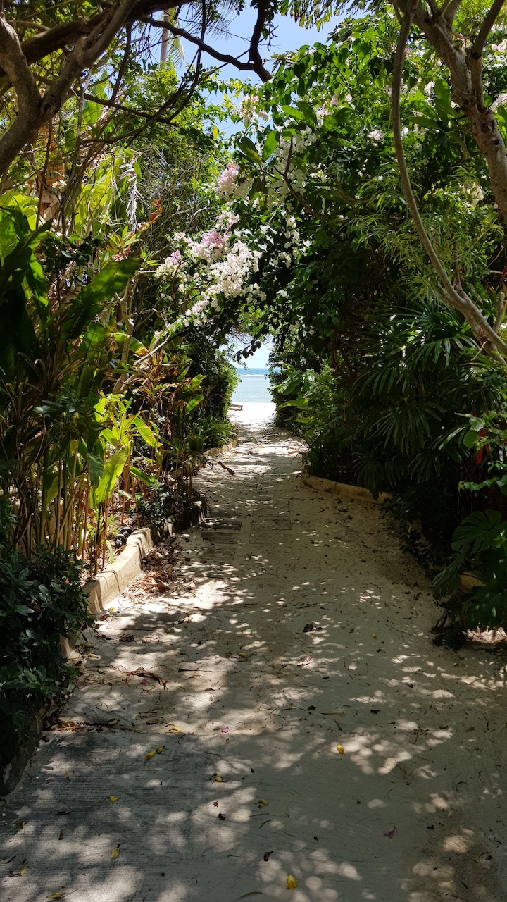 Baan Mima Ko Samui – Residential All in Koh Samui (photo 21)