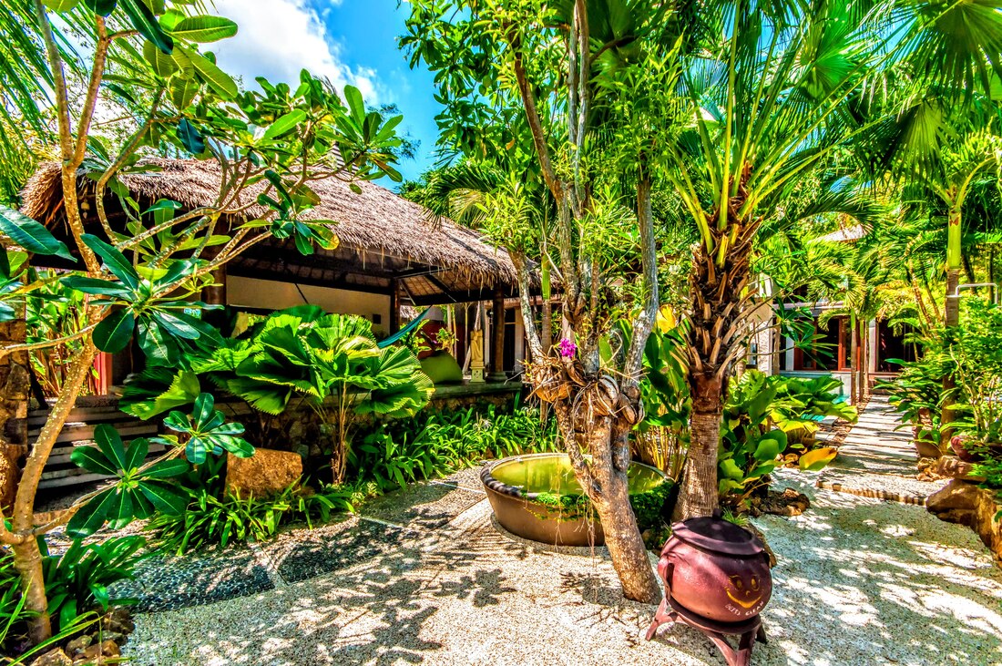 Tropical Garden