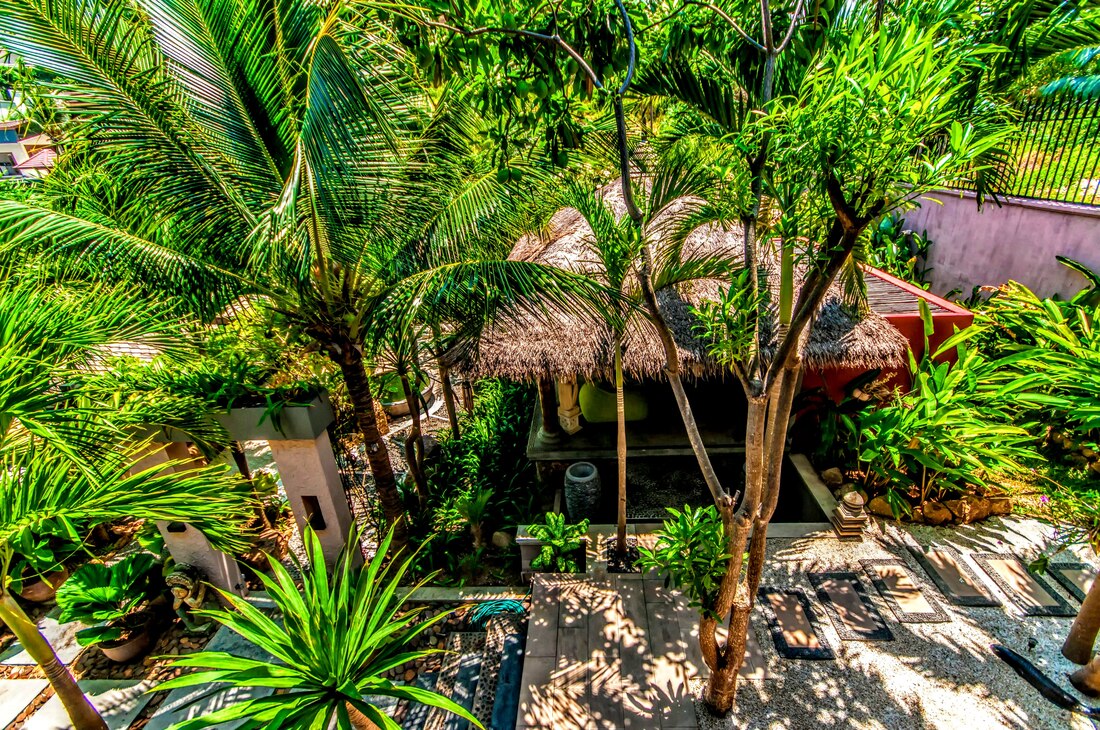 Garden Walkway