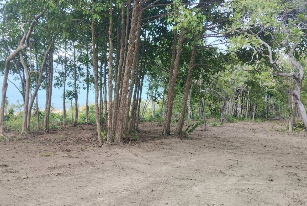 Bang Po Land Koh Samui Flat Section
