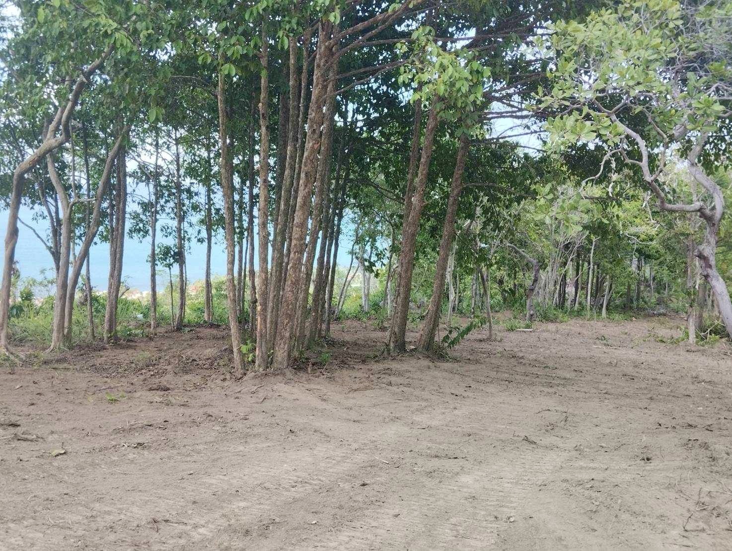 Bang Po Land Koh Samui Flat Section