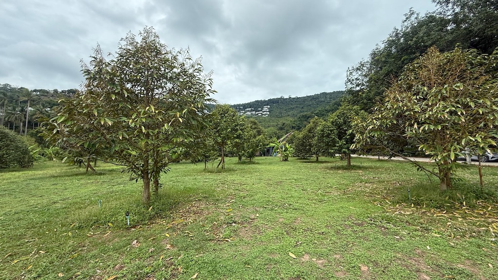 Bang Po Land Plots For Sale