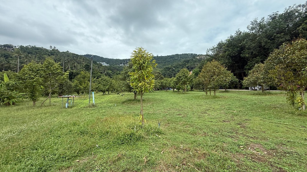 Bang Po Land Plots For Sale