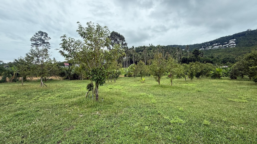 Bang Po Land Plots For Sale