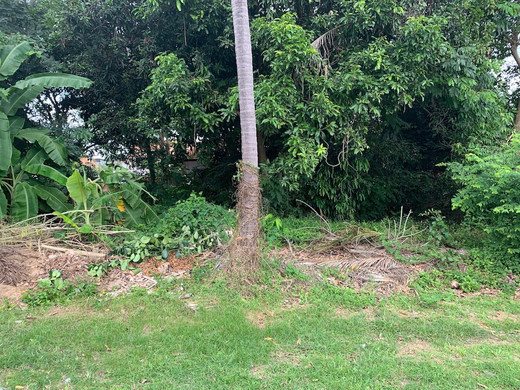 Bang rak land for sale