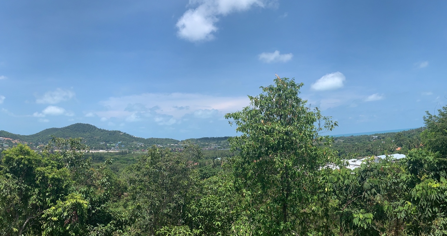 Bangrak Sea View Plot – image 4 Bangrak Sea View Plot – Land in Koh Samui (photo 4)