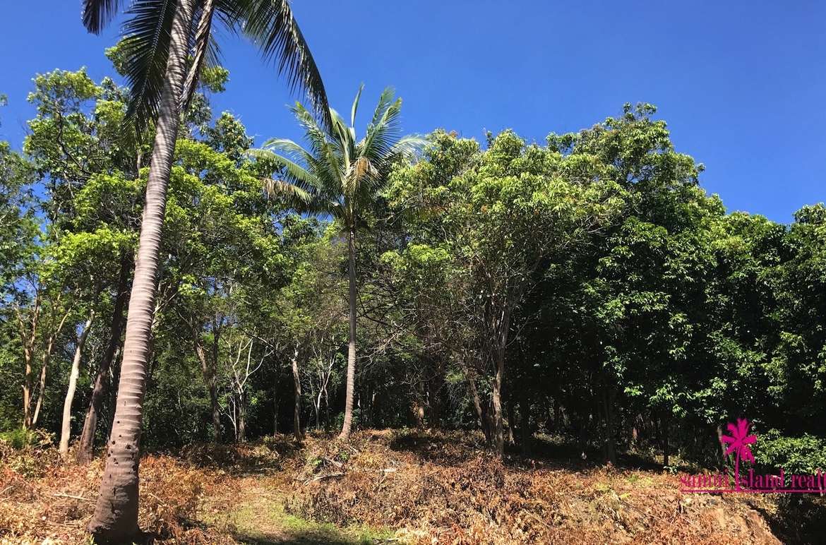 Beachfront Development Land For Sale At Koh Samui – Land in Koh Samui (photo 16)