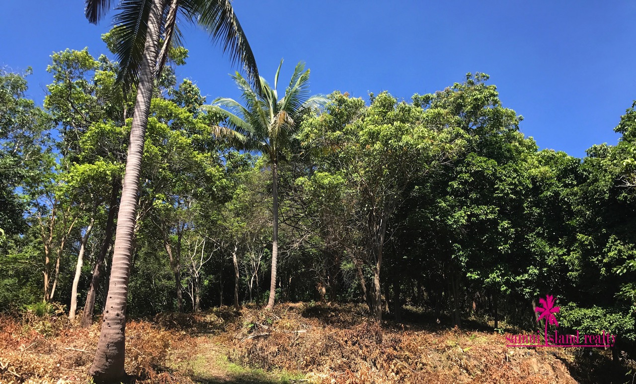 Beachfront Development Land For Sale At Koh Samui – image 16 Beachfront Development Land For Sale At Koh Samui – Land in Koh Samui (photo 16)