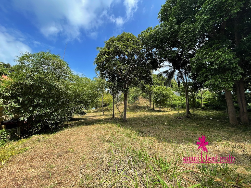Beachfront Land For Sale Koh Samui Trees amongst The Land