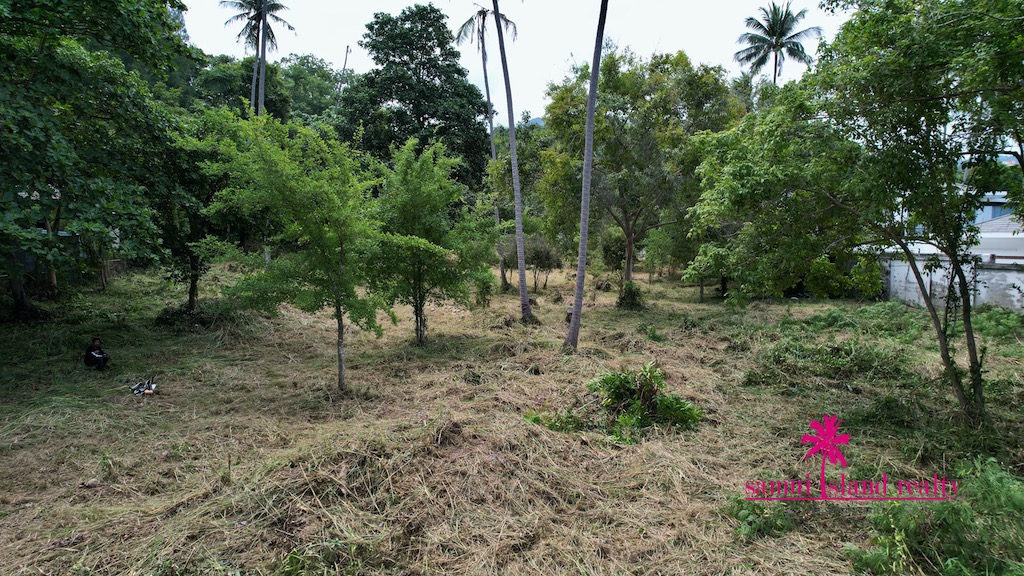 Beachfront Land For Sale Koh Samui Trees