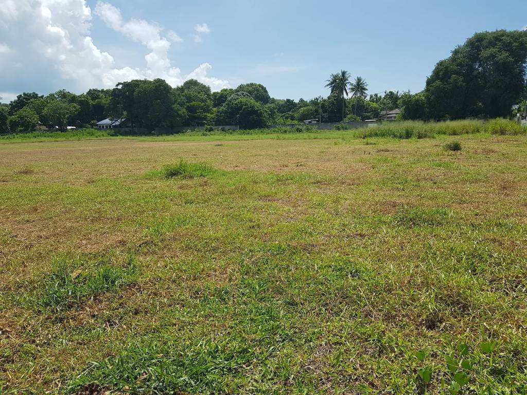 Beachfront Land Koh Samui Flat Contour
