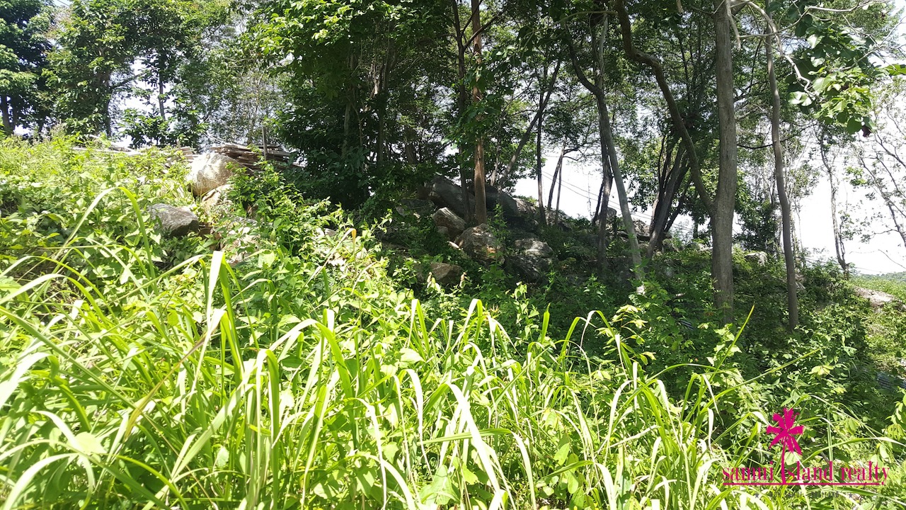 Bophut 1.5 Rai Sea View Land For Sale Koh Samui – Land in Koh Samui (photo 1)