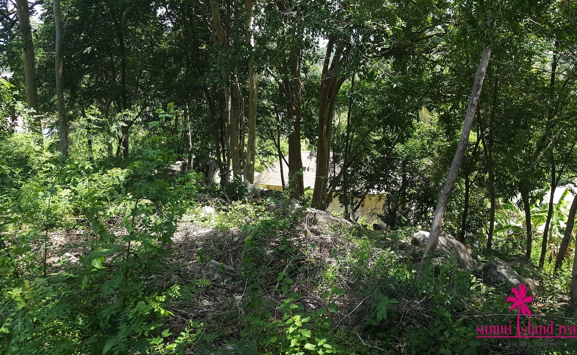 Bophut 1.5 Rai Sea View Land For Sale Koh Samui – Land in Koh Samui (photo 2)