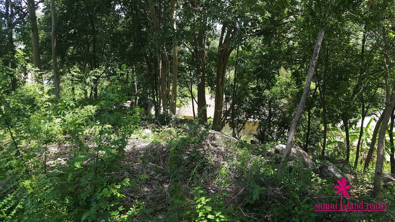 Bophut 1.5 Rai Sea View Land For Sale Koh Samui – Land in Koh Samui (photo 2)