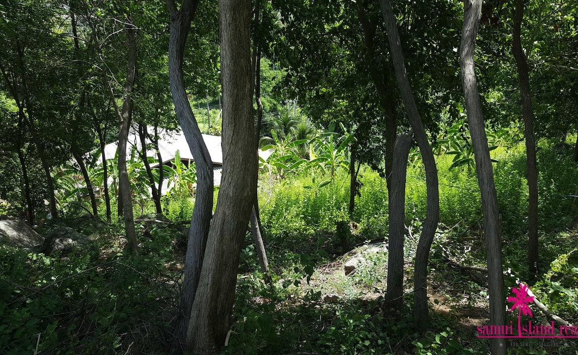 Bophut 1.5 Rai Sea View Land For Sale Koh Samui – Land in Koh Samui (photo 3)