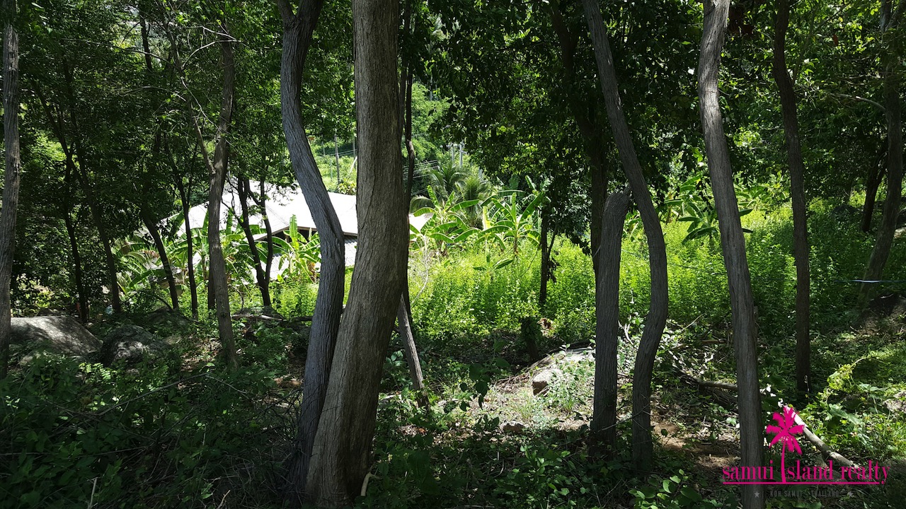 Bophut 1.5 Rai Sea View Land For Sale Koh Samui – Land in Koh Samui (photo 3)