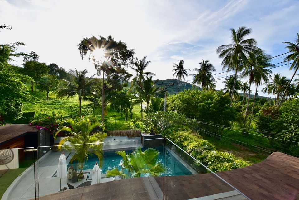 Terrace View