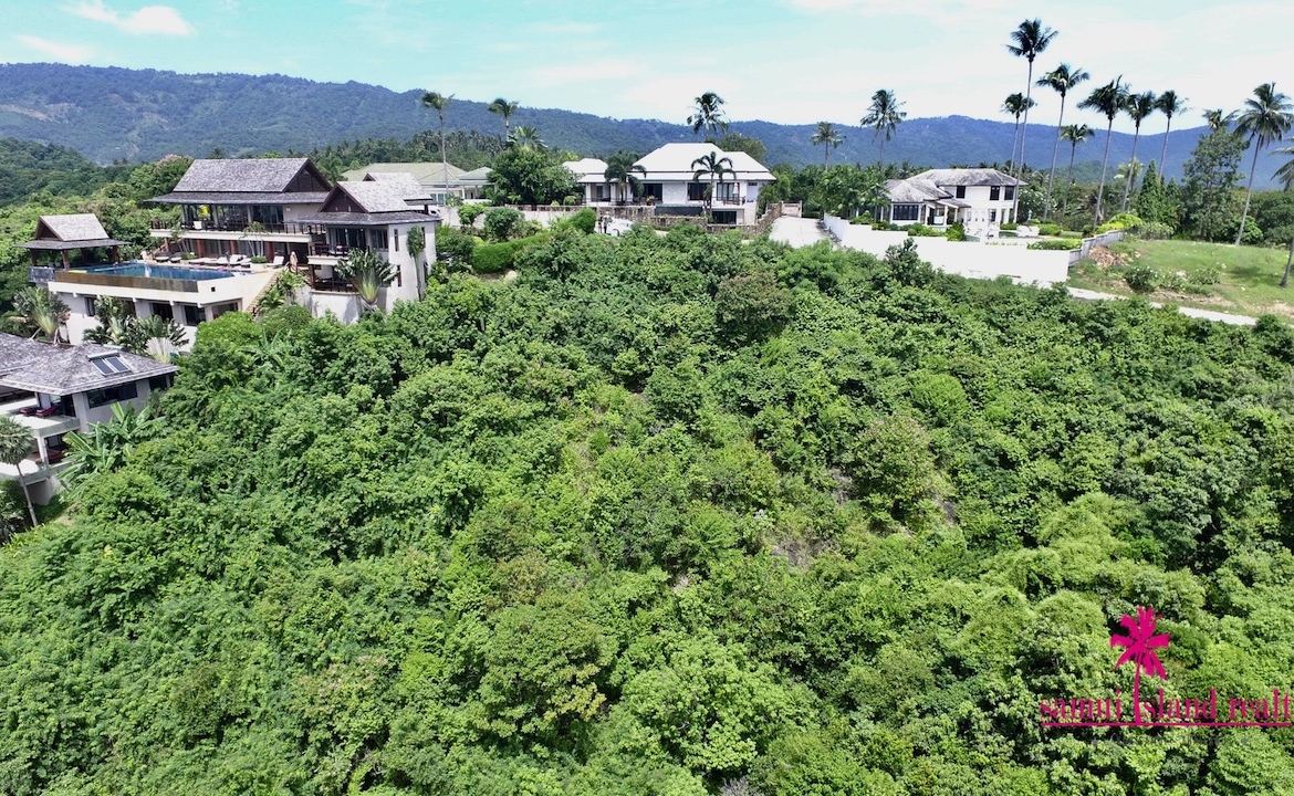 Aerial Image