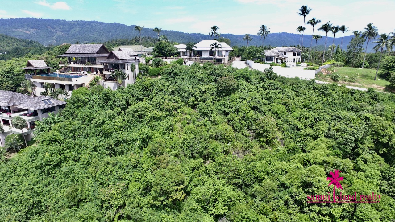 Aerial Image