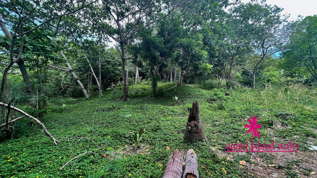 Chanote Beachfront Land For Sale Ko Samui – Land in Koh Samui (photo 1)