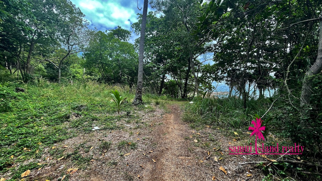 Chanote Beachfront Land For Sale Ko Samui – Land in Koh Samui (photo 2)