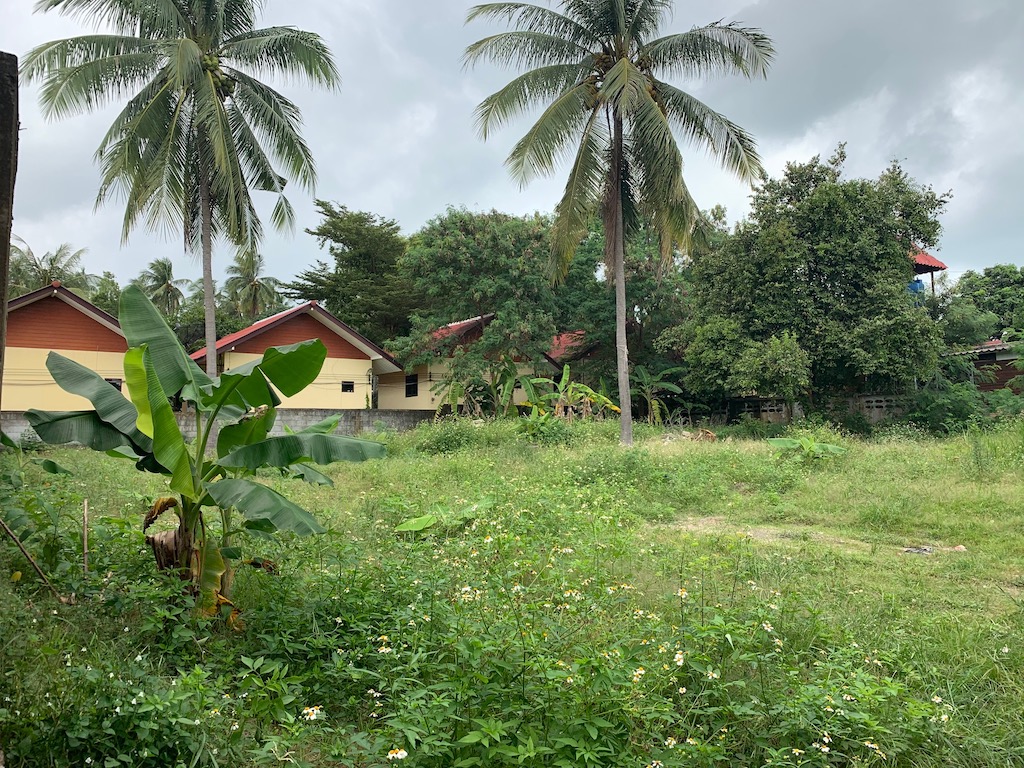 samui land for sale