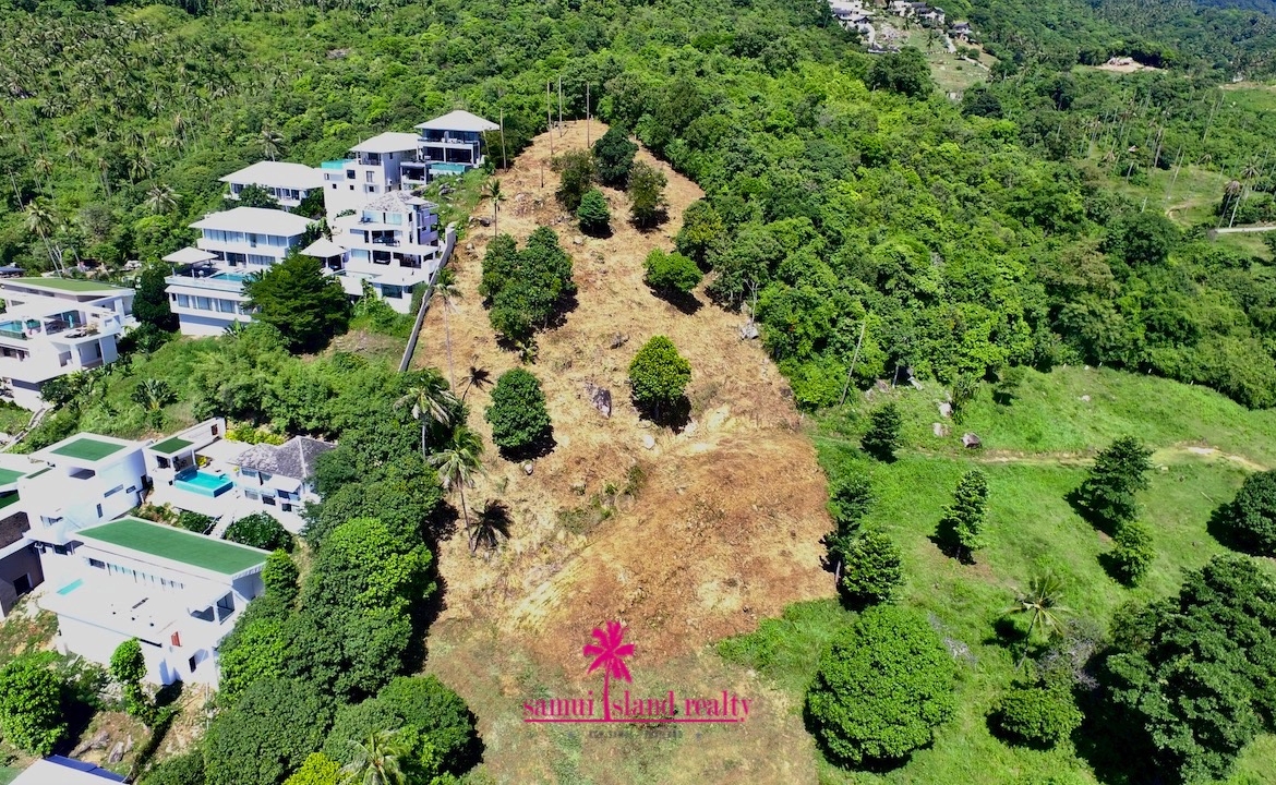 Aerial Image