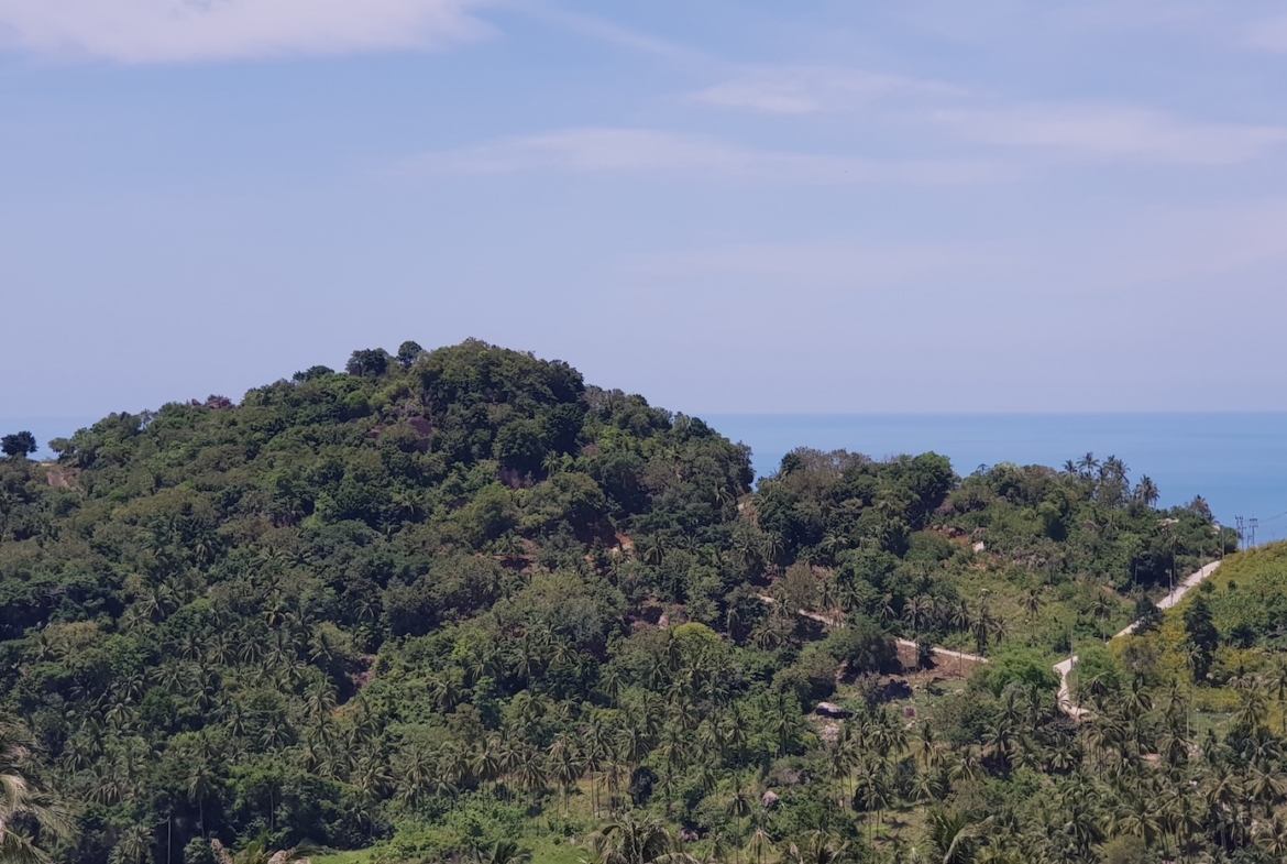 Chaweng Noi Sea View Land Plot For Sale – Land in Koh Samui (photo 2)